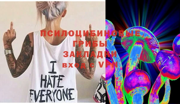 бутират Переславль-Залесский