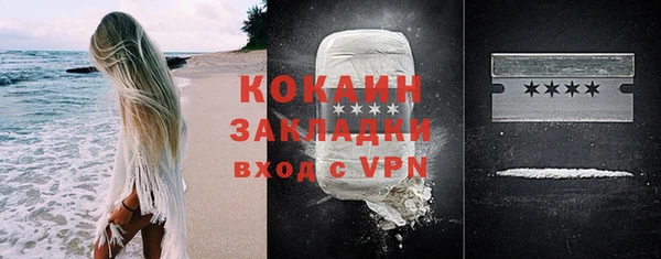 дурь Пересвет