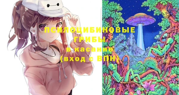дурь Пересвет