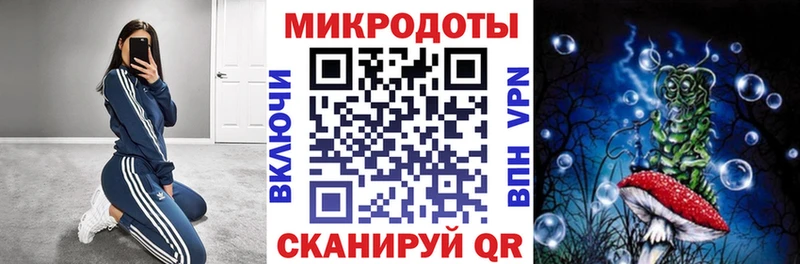закладка  кракен зеркало  Галлюциногенные грибы Psilocybine cubensis  Отрадный 
